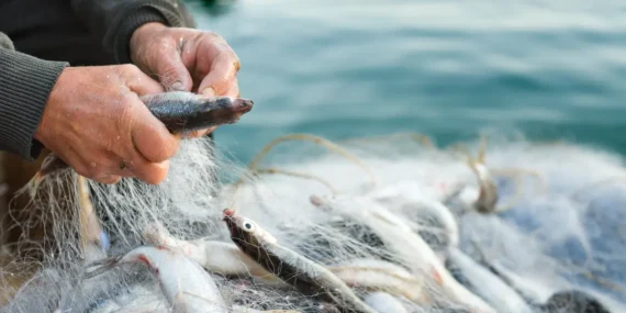 Türk Su Ürünleri Küresel Arenada