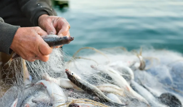 Türk Su Ürünleri Küresel Arenada