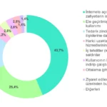 Siber Zafiyetlerde Korkutan Yükseliş