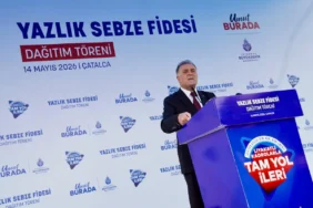 Çatalca'da Dev Fide Dağıtımı Başladı