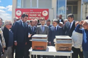 Üreticilere Yüzde 70 Kovan Desteği Başladı