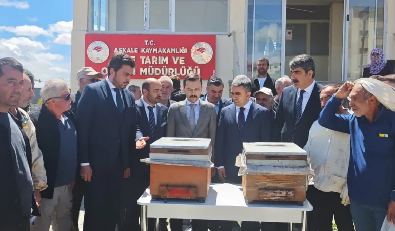 Üreticilere Yüzde 70 Kovan Desteği Başladı