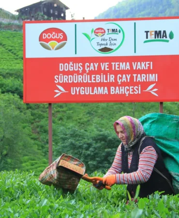 Doğuş Çay’dan Çevreci Hamlelerle Öncülük