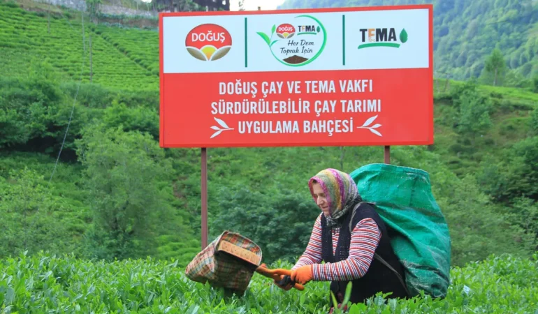 Doğuş Çay’dan Çevreci Hamlelerle Öncülük