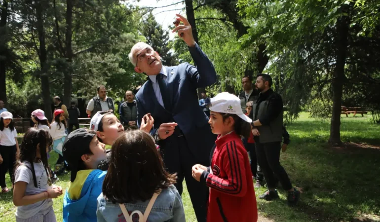 Karbon Yutaklarıyla Global Sahneye Çıkış