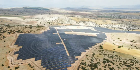 Halka Arz Geliriyle Sürdürülebilirlik Atağı