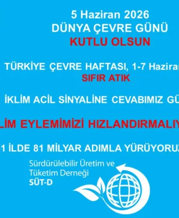 Türkiye'nin İklim Eylemi İçin Yeni Adımlar